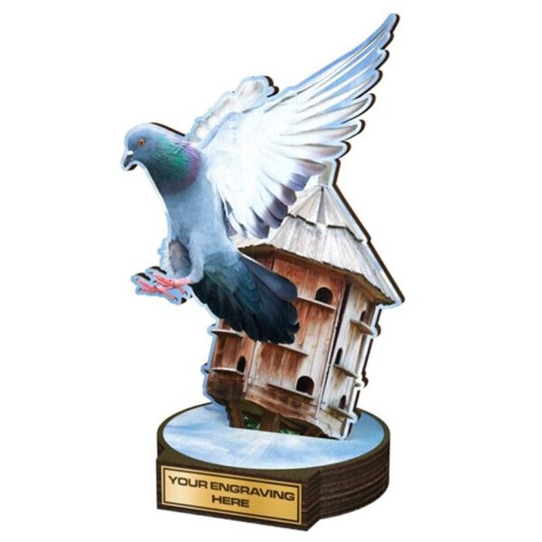 Een trofeeduif vliegt over een ecologisch vogelhuisje.