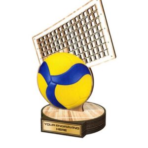 Volleybal