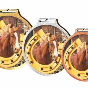 Drie Medaille Paardensport-trofeeën op een witte achtergrond.