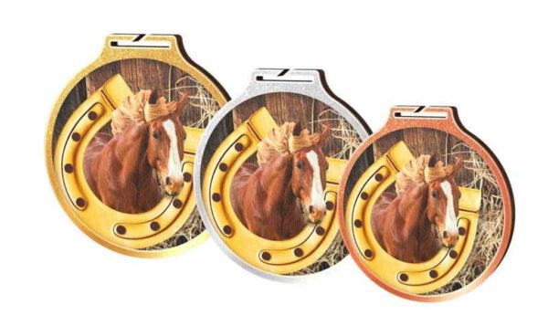 Drie Medaille Paardensport-trofeeën op een witte achtergrond.